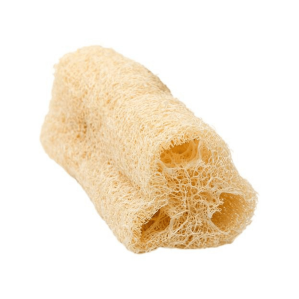 Bucha Vegetal Natural - Imagem 2